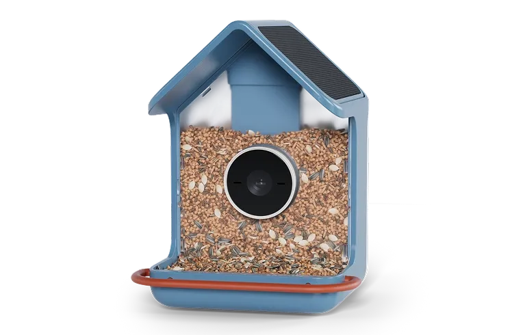 Blue Birdbuddy 2 smart bird feeder with a round camera in the seed window and solar panels on the roof