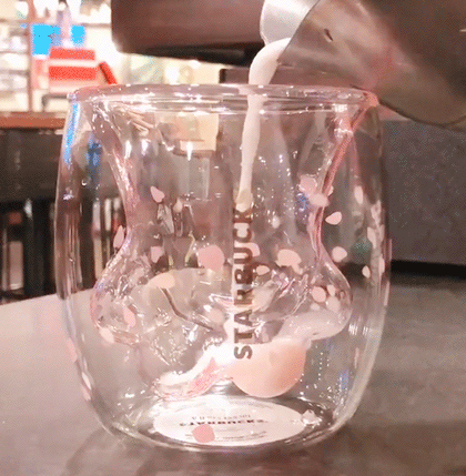 starbucks cat paw glass