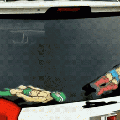 Wipertags Wiper Covers